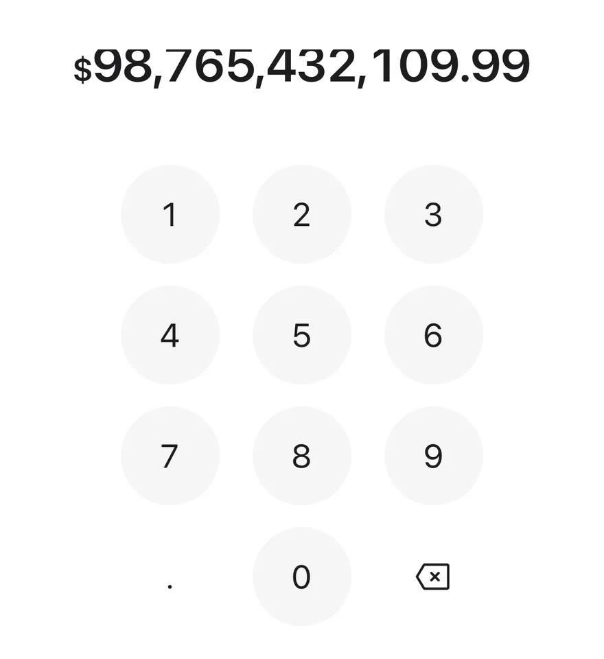 Amount Input (long amount) on iOS in light mode