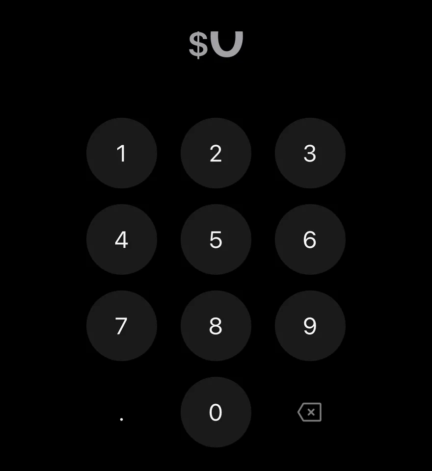 Amount Input (with max) on iOS in dark mode