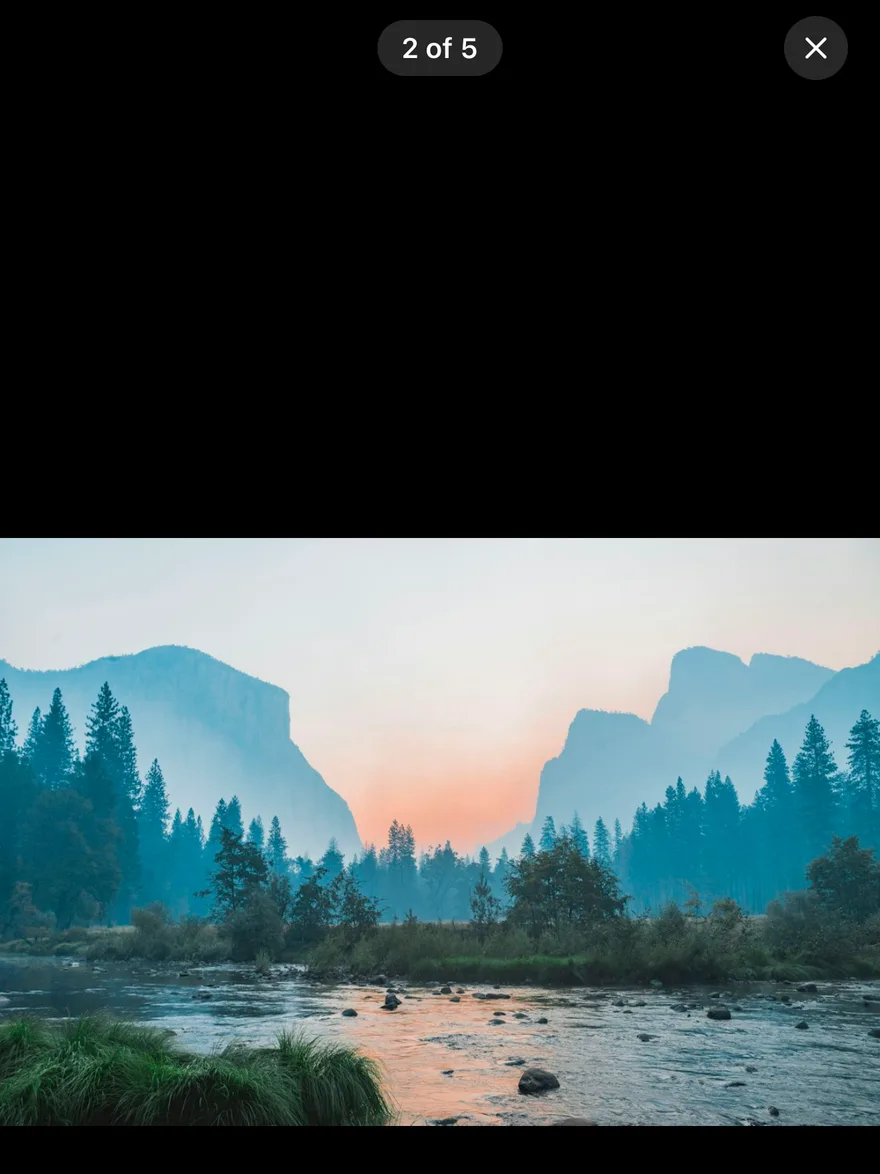 Image Viewer (open by default) on iOS in dark mode