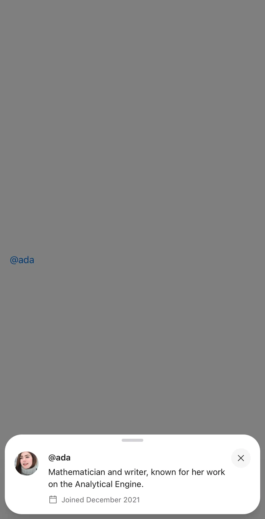 Preview (with close button) on iOS in light mode
